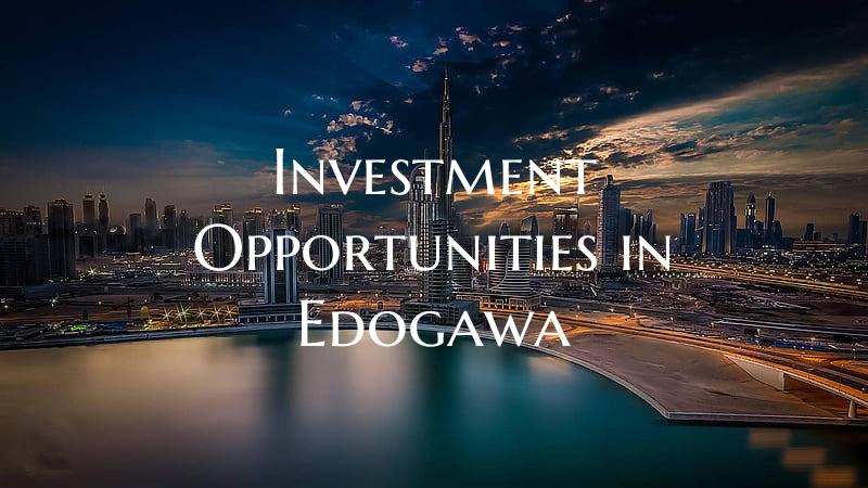 Investment Opportunities in Edogawa
